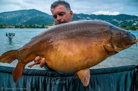 Carpfishing la modul meu 2015 - fbimg1452777443496.jpg